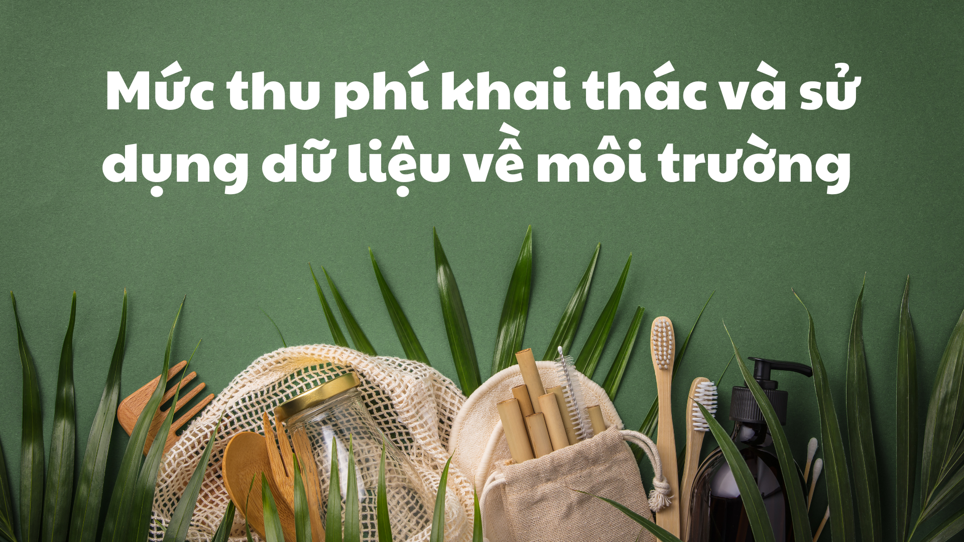 SỬ DỤNG NHỮNG DỮ LIỆU  VỀ MÔI TRƯỜNG PHẢI TRẢ PHÍ